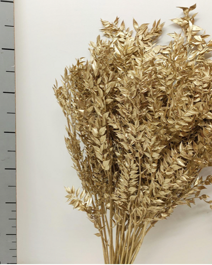 Ruscus criogenat auriu