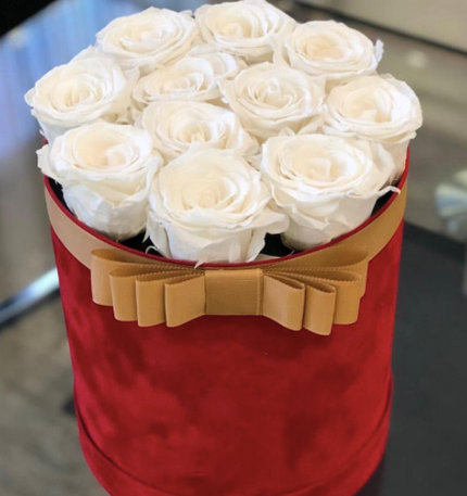 Set 3 cutii flori S3.83 catifea rosu