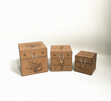 Set 3 cutii flori S3.124