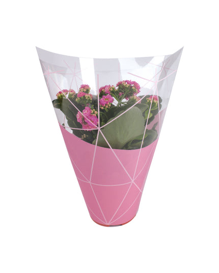 Sleeve 27x27x11cm ghivece flori S/50 roz