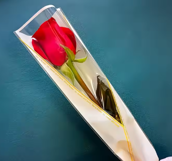 Sleeve 12.5x46CM S/50 alb Y (ambalaj 1 fir)