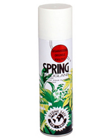 Ingrijire spray luciu de frunze 250ml