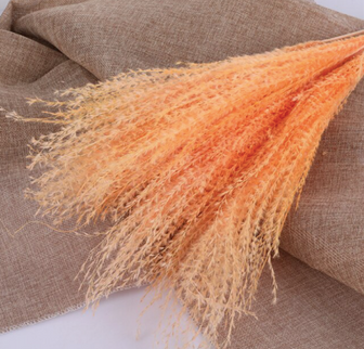 Stypha S/10 portocaliu