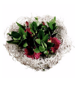 Suport buchet Ø20cm salim zapada S/10