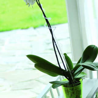 Suport orhidee 55cm simplu verde