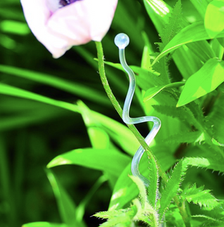 Suport orhidee 55cm simplu transparent