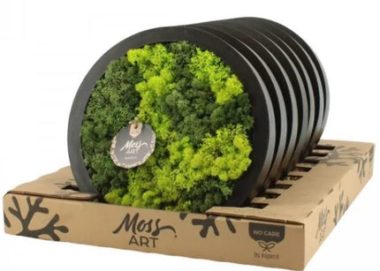 Tablou licheni 35cm diametru