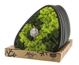 Tablou licheni 30x23cm