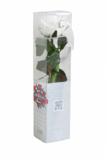 Trandafir criogenat tija 27cm Ø3.5-4.5cm alb