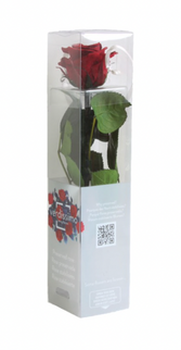 Trandafir criogenat tija 27cm Ø3.5-4.5cm burgundy