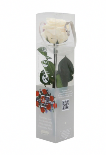 Trandafir criogenat tija 27cm Ø3.5-4.5cm champagne