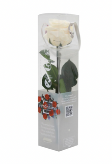 Trandafir criogenat tija 27cm Ø3.5-4.5cm champagne