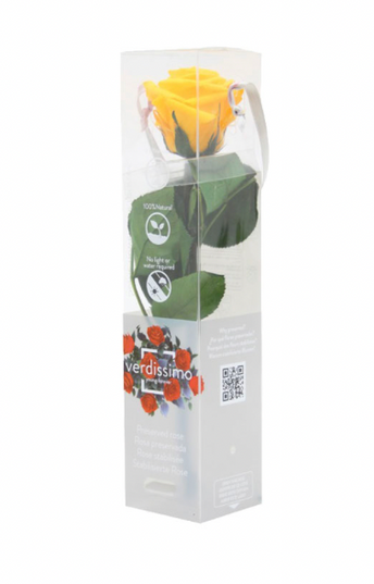 Trandafir criogenat tija 27cm Ø3.5-4.5cm galben