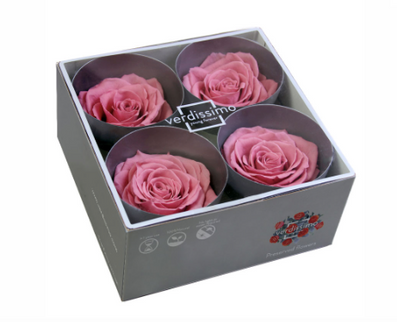 Trandafir criogenat Ø7-8cm cherry blossom