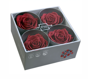 Trandafir criogenat Ø7-8cm cranberry