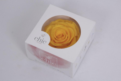 Trandafir criogenat Ø9-10cm galben