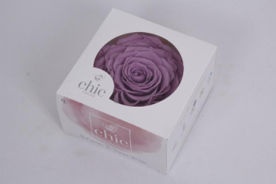 Trandafir criogenat Ø9-10cm lila