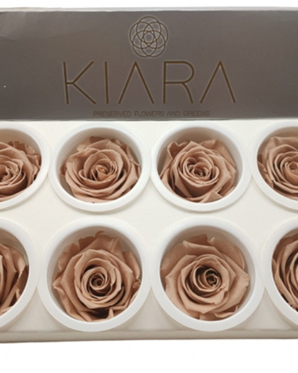 Trandafir criogenat Ø5.5-6cm nude