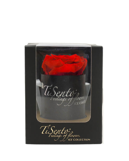 Aranjament trandafir criogenat 1 cutie