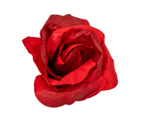 Trandafir gigant rosu - waterproof