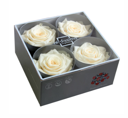 Trandafir criogenat Ø7-8cm champagne