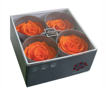 Trandafir criogenat Ø7-8cm portocaliu
