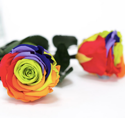 Trandafir criogenat tija 45cm Ø4.5cm rainbow