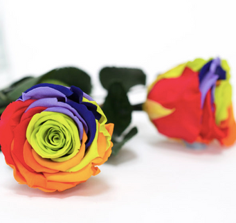 Trandafir criogenat tija 45cm Ø4.5cm rainbow