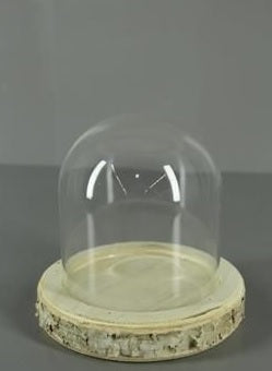 Glass dome birch base