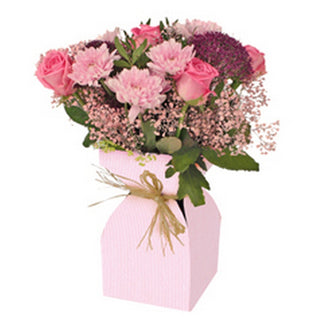 SUPORT VAZA FLORI CARTON SI PLASTIC ROZ 11.5xH21cm