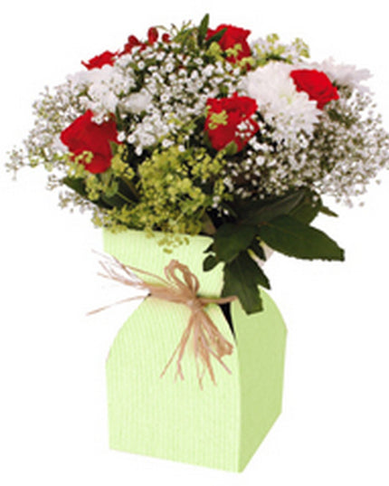 SUPORT VAZA FLORI CARTON SI PLASTIC VERDE 11.5xH21cm