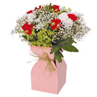 SUPORT VAZA FLORI CARTON SI PLASTIC ROSU 11.5xH21cm