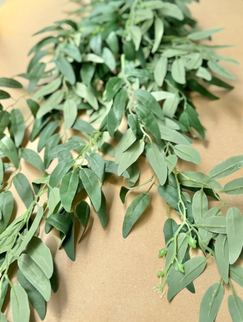 Verdeata artificiala ruscus