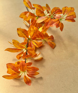 Verdeata artificiala schefflera porto