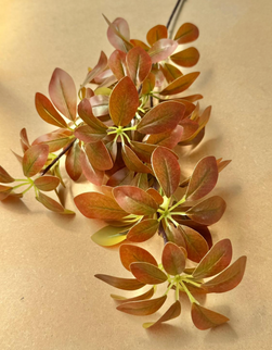 Verdeata artificiala schefflera red