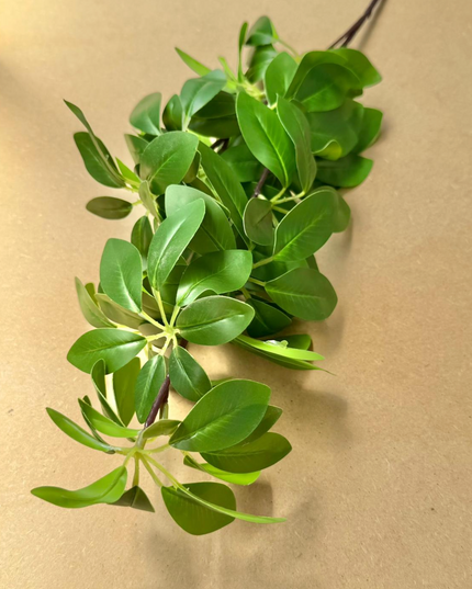 Verdeata artificiala schefflera