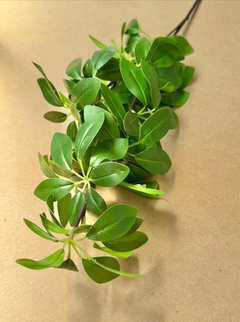 Verdeata artificiala schefflera