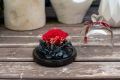 Aranjament trandafir criogenat 5+ giftbox