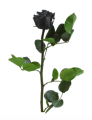 Trandafir criogenat tija 27cm Ø3.5-4.5cm negru