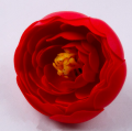 Ranunculus sapun S/20 rosu