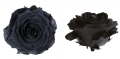 Trandafir criogenat Ø7-8cm negru