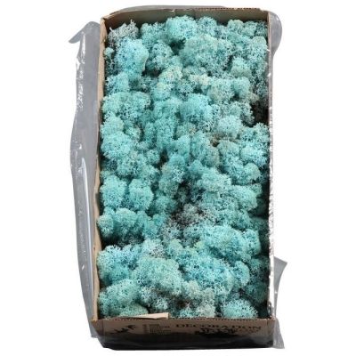 Licheni conservati Aquamarin 500G