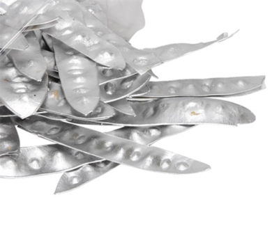 Decor gledichia argintiu S/50