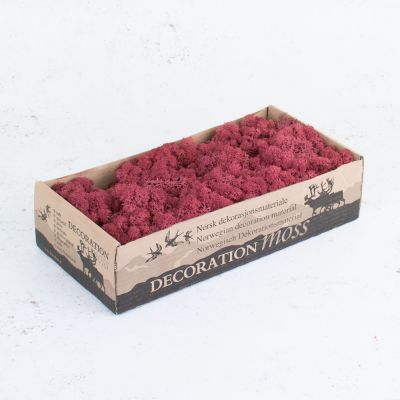 Licheni conservati Bordeaux 500G