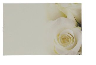 Eticheta mesaj S/50 trandafir alb