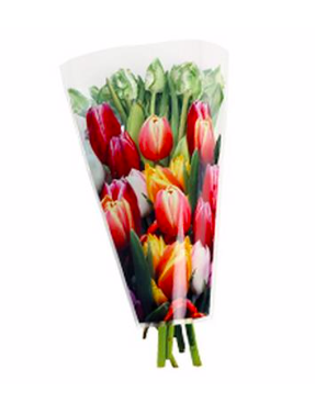 Sleeve 40x30x12cm tulips mix S/50