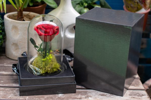 Aranjament trandafir criogenat 2 led+giftbox