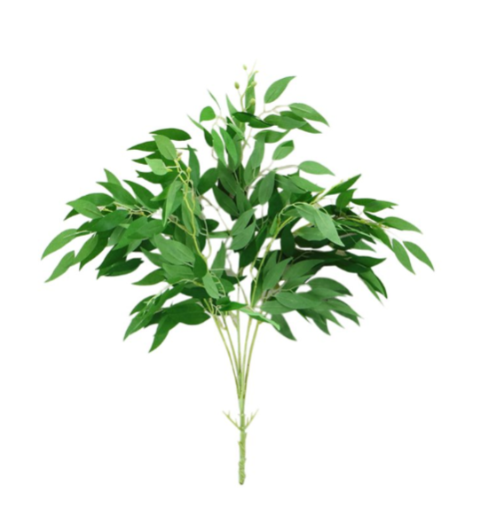Eucalipt parvifolia artificial