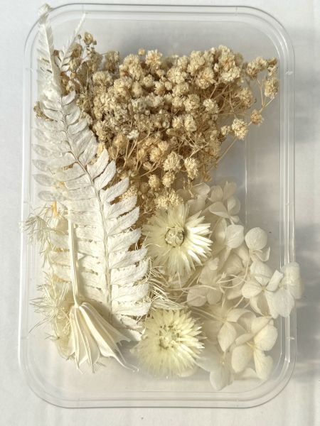 Flori uscate caserola 28