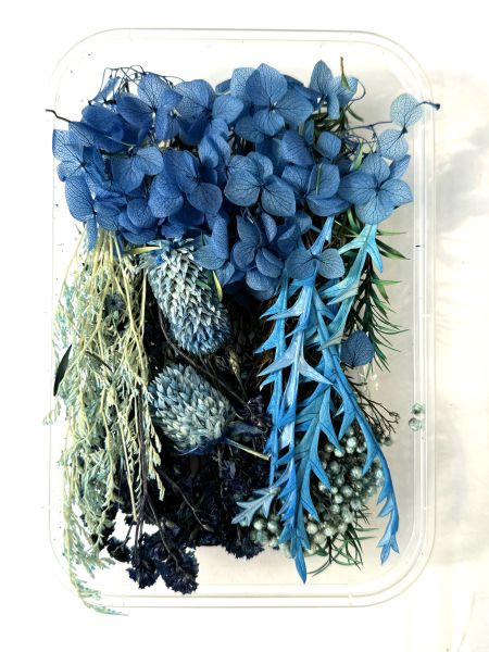 Flori uscate caserola 29